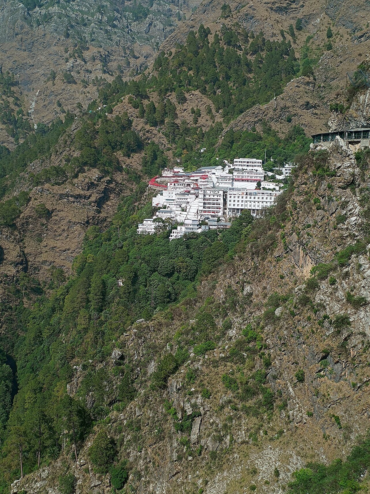 White Vaishno Devi shrine buildings on a steep wooded mountainside, seen from the pilgrimage approach near Katra.